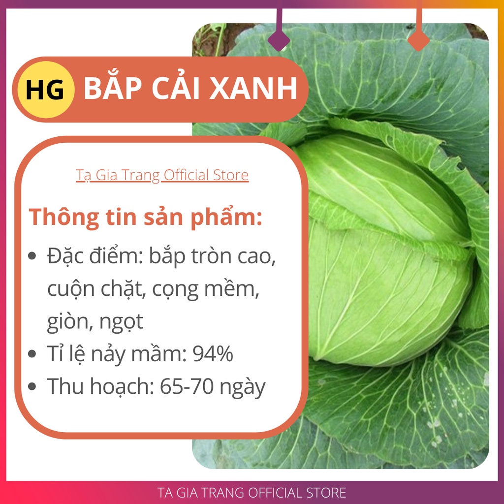 Hạt giống rau bắp cải xanh - Gói 0.2g (50-80 hạt)