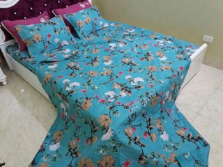 Set chăn ga gối poly