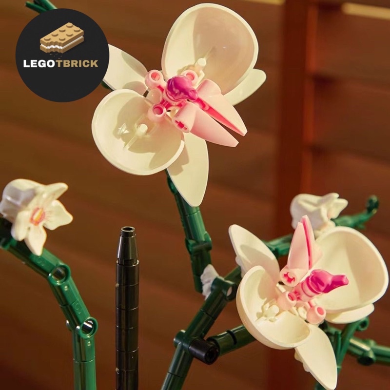 Đồ chơi lắp ráp mô hình thông minh Hoa Lan Tbrick