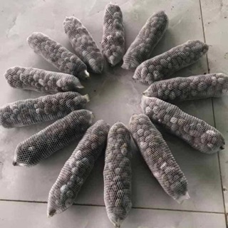 Phân dê đã qua xử lý trồng lan