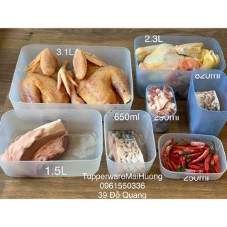 Tupperware - Bán lẻ hộp trữ đông đủ size