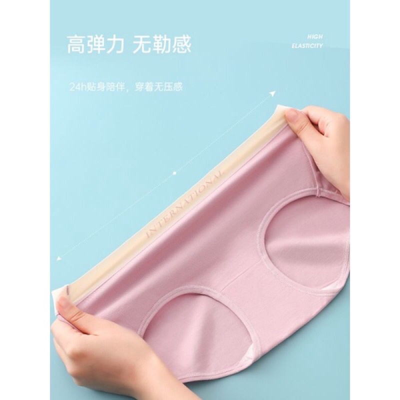 Quần lót nữ cotton trơn màu cao cấp kháng khuẩn cạp chữ INTERNATION 216