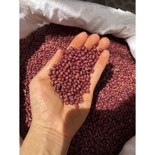 1kg đậu đỏ-đỗ đỏ-nấu sữa hạt-nấu chè