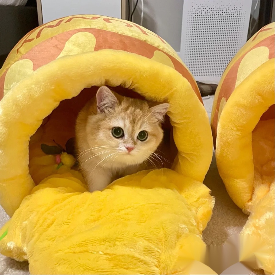 Ổ Nằm Hình Hoạt Hình Xinh Xắn Cho Thú Cưng