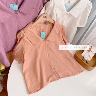 Sơ mi cộc cổ viền sóng (ib chọn màu)