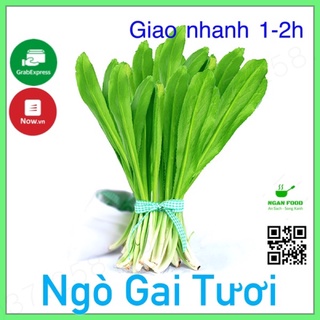 Rau Ngò Gai Tươi Mới Về Giao Nhanh 1-2h (HCM)