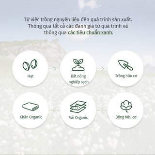 Set 7 Khăn Organic ARIZE Oncloud 100% Cotton