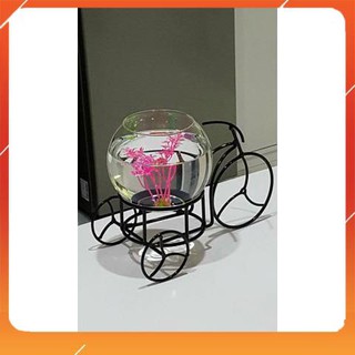 [BÁN BUÔN/SỈ] Bể Cá Mini Xe Đạp 29