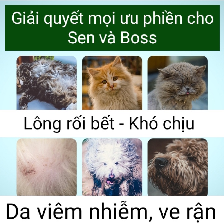 *Hoả tốc* Sữa tắm nước hoa SPA cao cấp dưỡng lông siêu mượt 300ml và Sữa tắm Chuyên dụng Dorrikey 510ml.