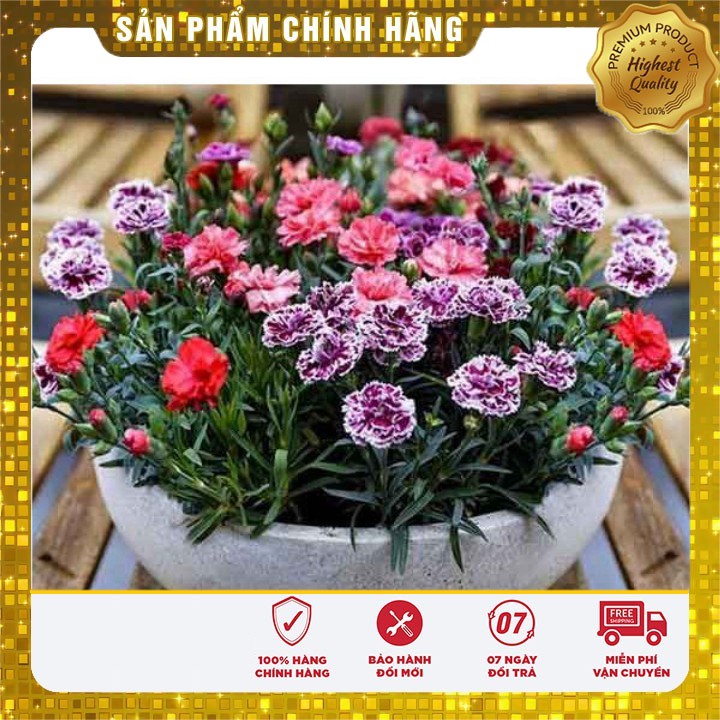 Phân cá hữu cơ nhập khẩu Nauy cho cây cảnh bonsai gói 100gram