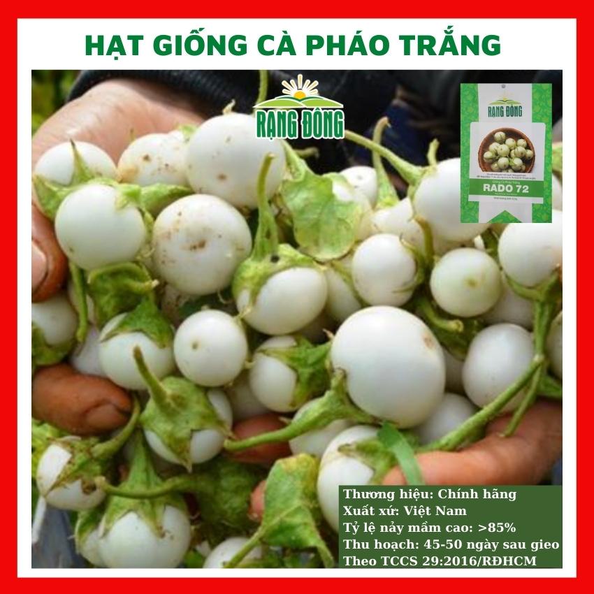 Hạt giống cà pháo trắng - rau củ quả trồng chậu, sân vườn ban công tỉ lệ nảy mầm cao 0,5g RADO72