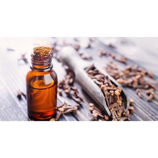 TINH DẦU ĐINH HƯƠNG ẤN ĐỘ - 10ML