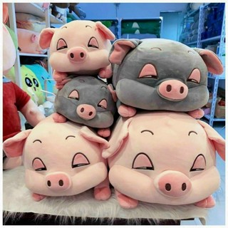 Gối ngủ Heo mơ màng