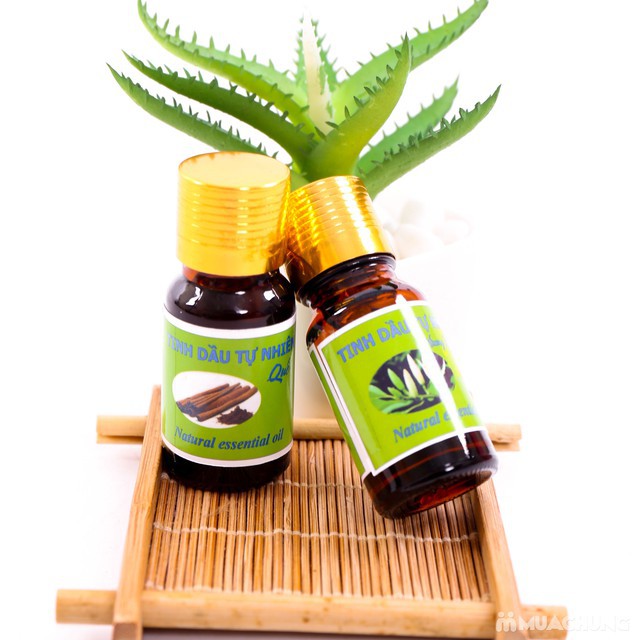 TINH DẦU CHO ĐÈN XÔNG 10ML