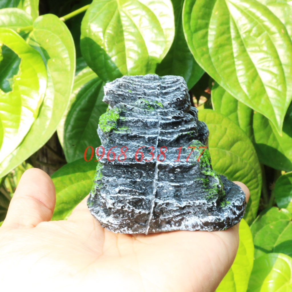 Cầu thang cho rùa, bò sát phơi nắng