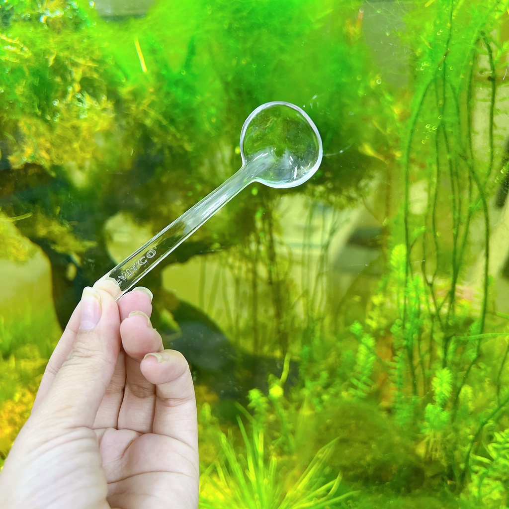 Muỗng Hủ 06 Nhựa Trong Acrylic Cao Cấp Fataco Việt Nam