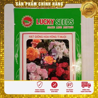 Hạt Giống Hoa Hồng Tỷ Muội Lucky Seeds(20 hạt)