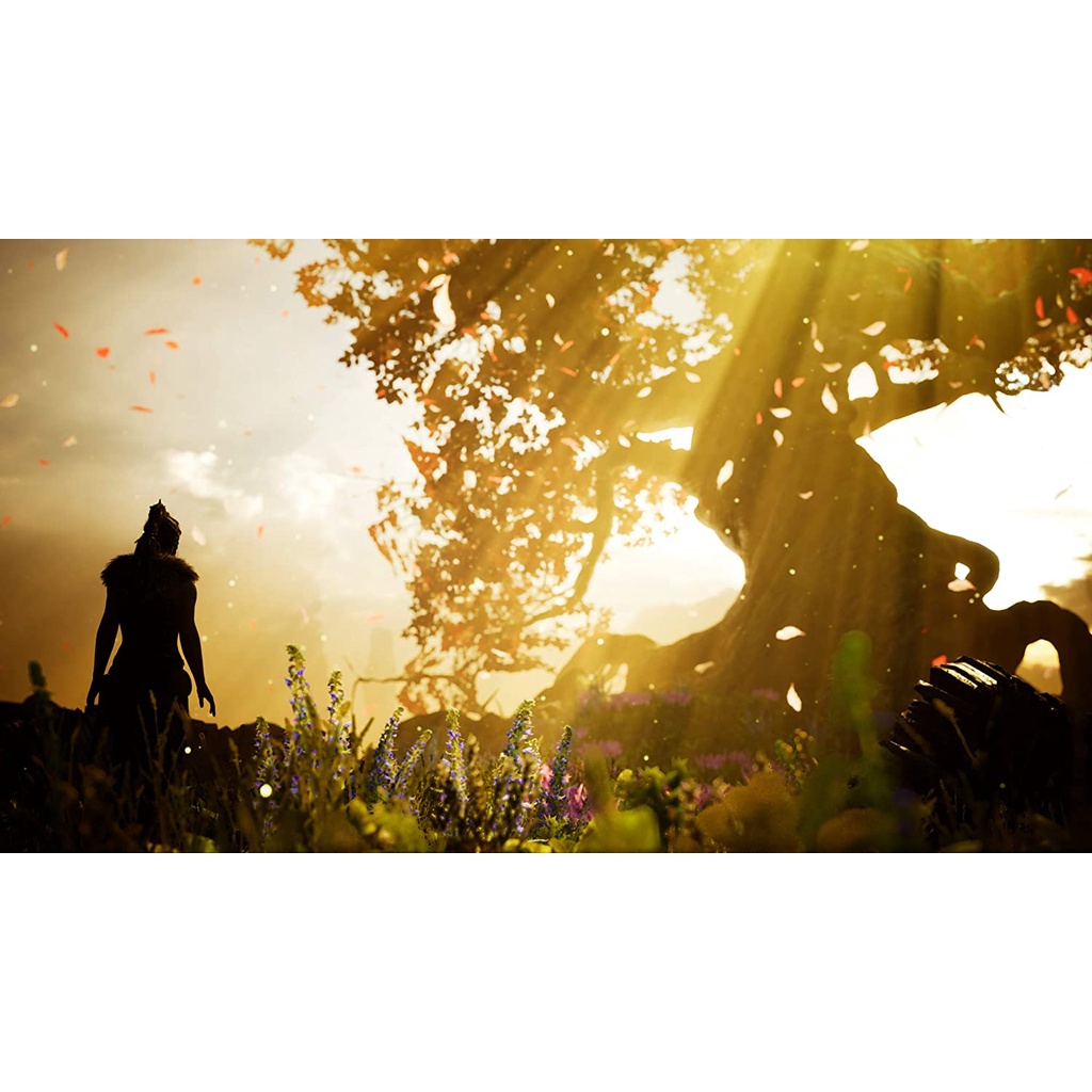 Đĩa Game PS4 - Hellblade: Senua's Sacrifice Hệ US