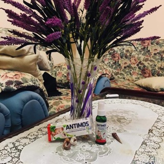 Tinh dầu xịt chống muỗi, côn trùng Antimos