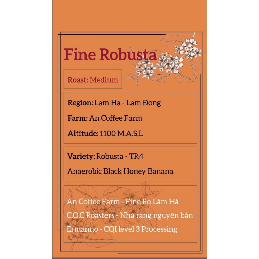 Fine Robusta Cà phê nguyên chất C.O.C Saigon chuyên pha phin, pha máy, pour over