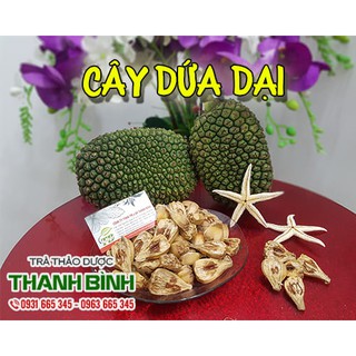 Combo 2kg Quả Dứa Dại - Không Lo Sỏi Thận