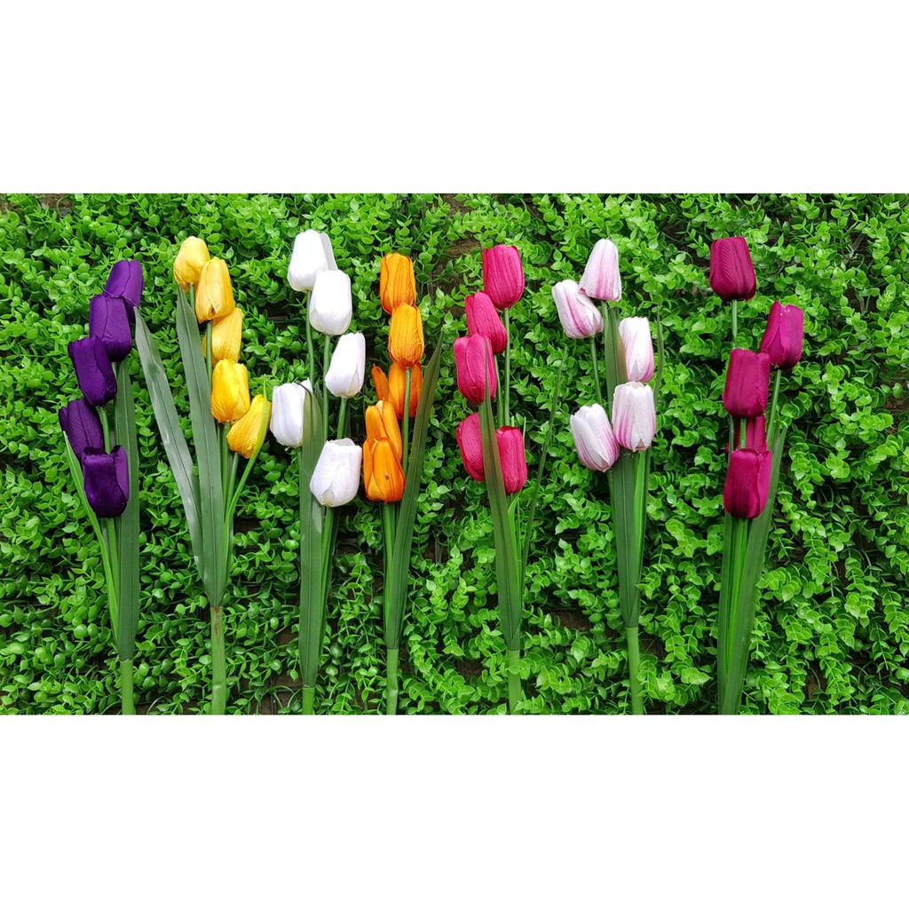 HOA TULIP VẢI