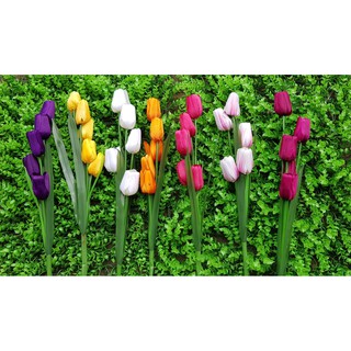 HOA TULIP VẢI