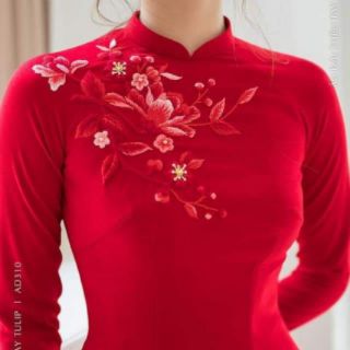 Áo dài lụa 2tà cả quần