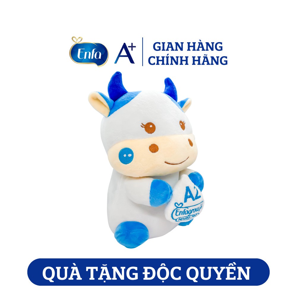 [MKB Gift] Hộp quà gấu bông Enfa