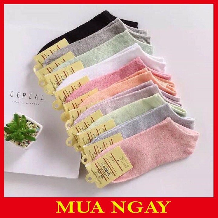 Tất Nữ Xuất Nhật Kháng Khuẩn Cổ Ngắn Nhiều Màu Siêu Hot CT5
