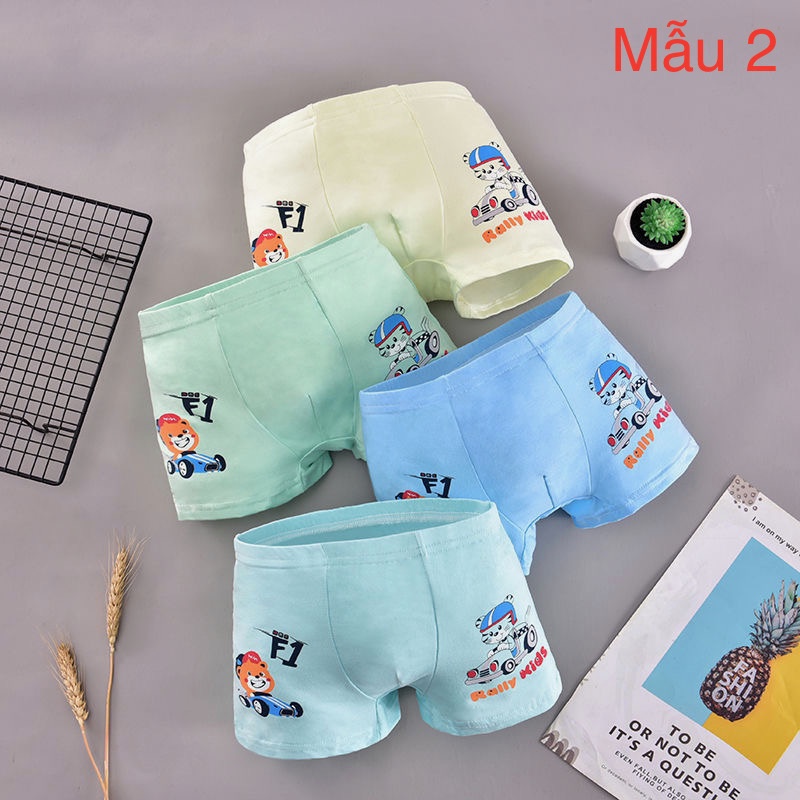 Set quần lót cotton hoạ tiết hoạt hình nhiều màu cho bé trai 2-14t (9-41kg) N00856