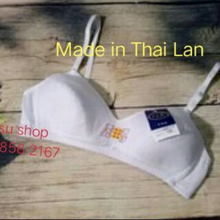 Áo ngực Gấu học sinh loại 1