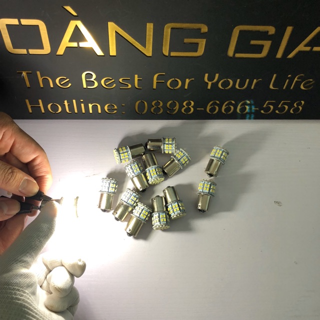 BÓNG LED TRẦN, BIỂN SỐ CHO FORD TRANSIT