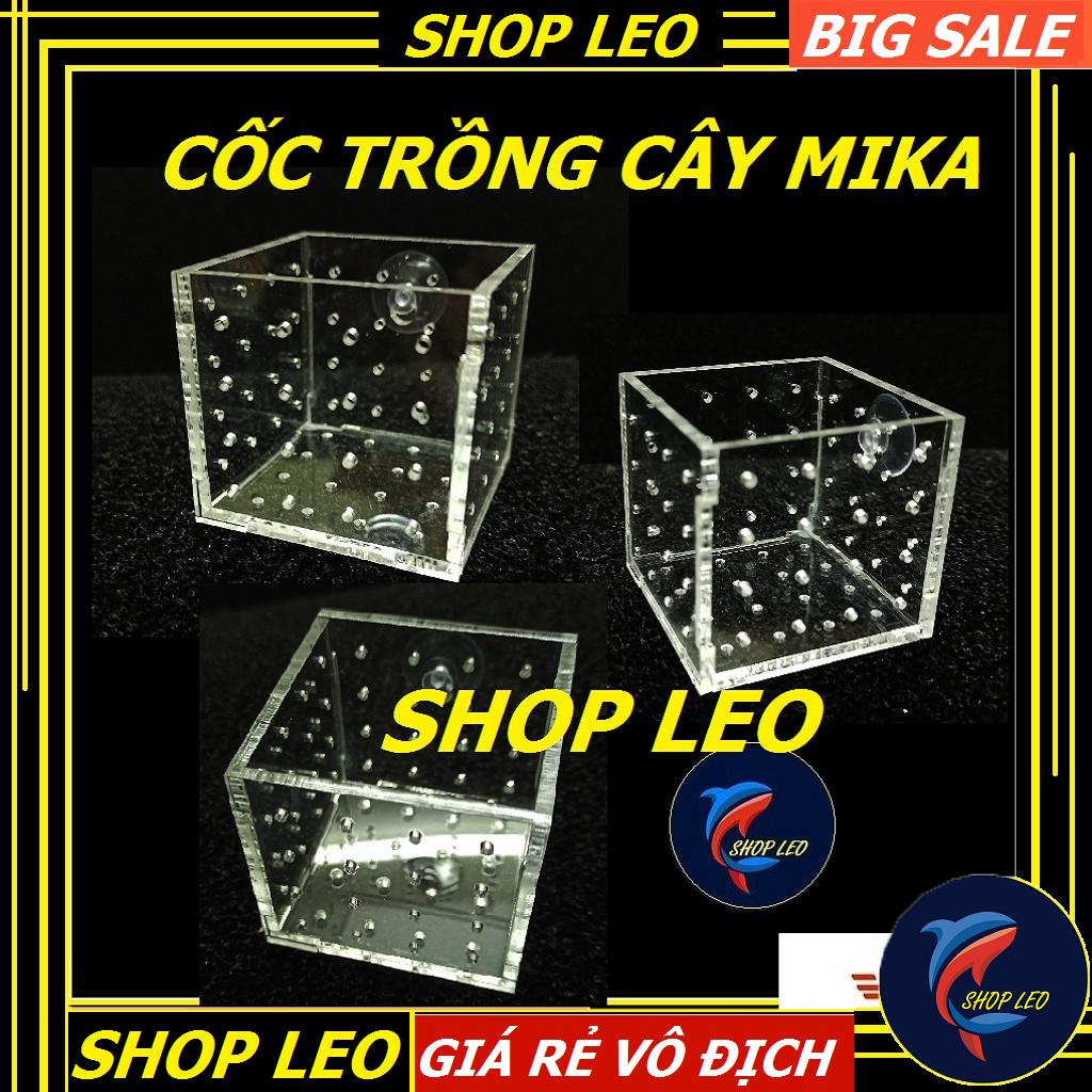 Cốc trồng cây bằng mika - Cốc đựng phân nền mica - Hồ thủy sinh - bể cá cảnh