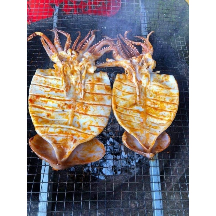 [hcm-hỏa tốc] mực toco 1 nắng hàng ngon 1kg - nuongfood