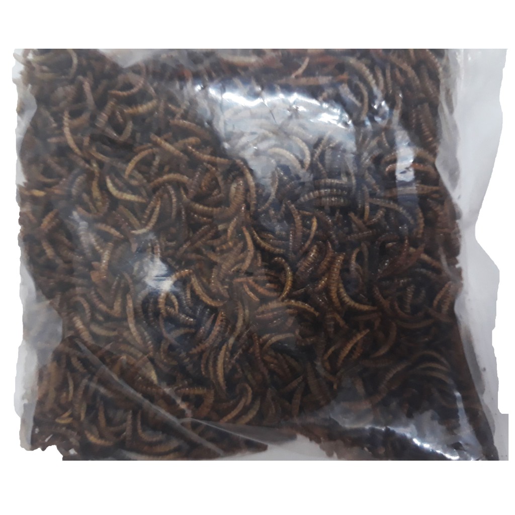 Sâu Khô Cho Chim, Hamster Ăn 25g - Sâu Khô Cho Gà, Trộn Chung Với Cám - Thức Ăn Chim, Hamster [SÂU KHÔ]