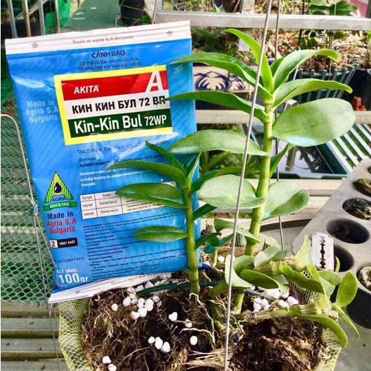 Kin Kin Bul 72WP, Thuốc Mancozeb xanh kinkinbul 72WP, Chuyên Thối Nhũn Phòng Trừ Vàng Lá, Rỉ Sắt