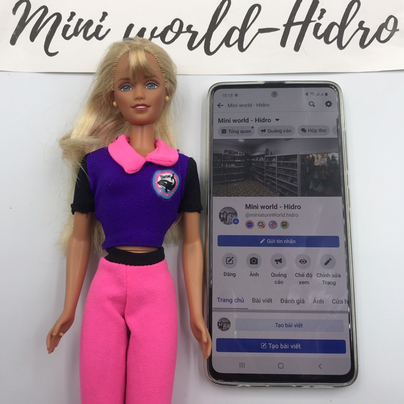 Búp bê Barbie chính hãng. Mã Barbie S19