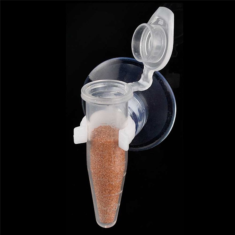 Phễu Mini Trong Suốt Cho Cá Ăn Tiện Dụng
