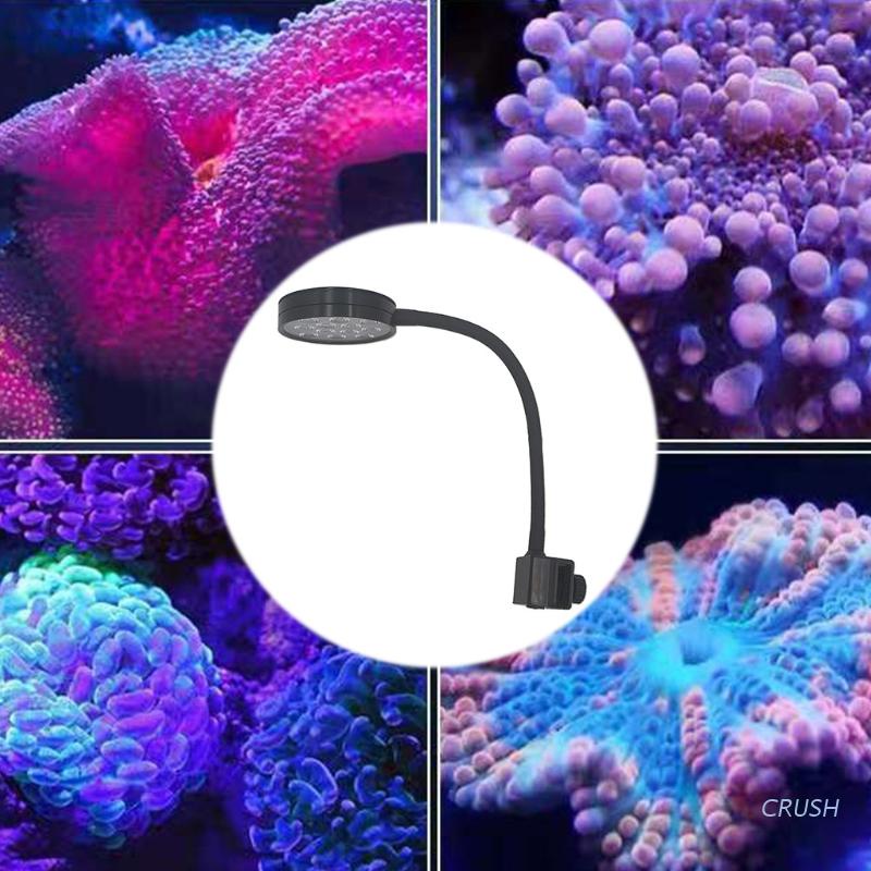 Đèn led màu xanh dương trắng dùng trang trí đá ngầm bể cá san hô