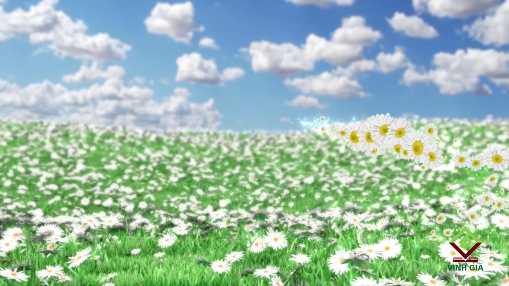 Lăn Khử Mùi Cho Nữ AQUASELIN Intensive Women Không Cồn Không Mùi Không Thâm Nách Giảm Mồ Hôi Lên Đến 72h Dung Tích 50ml | BigBuy360 - bigbuy360.vn