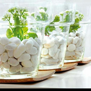 Đá sỏi trắng trang trí