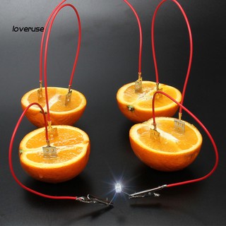 Bộ đồ chơi thí nghiệm khoa học máy phát điện từ pin trái cây sáng tạo cho bé