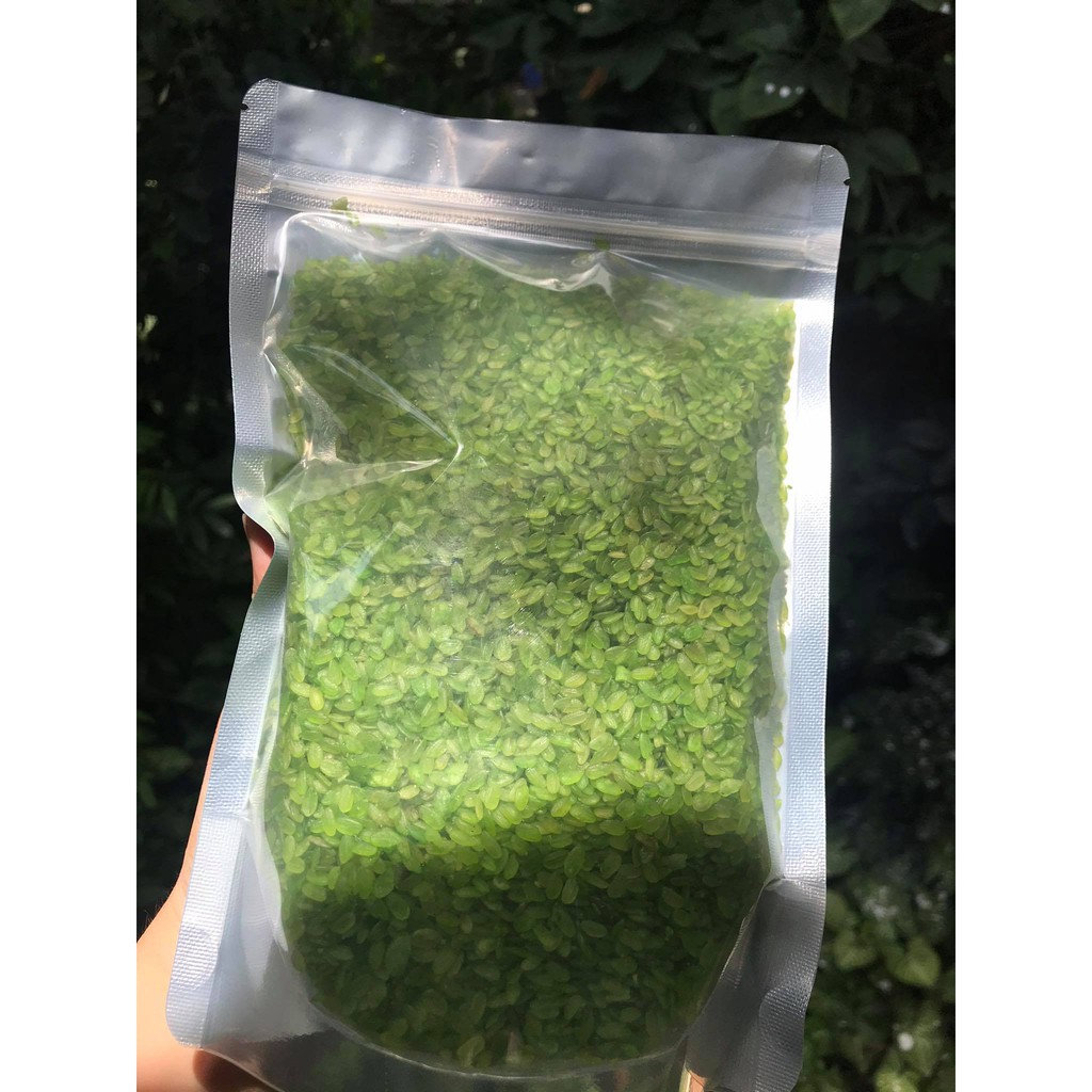 0.5KG CỐM XANH KHÔ LÀNG VÒNG LOẠI 1 THƠM NGON