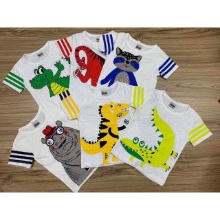 Set bộ khủng long bé trai