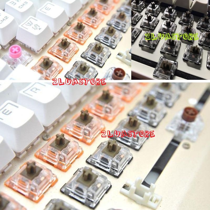 Switch TTC Gold/Silent V2 V3 cho bàn phím cơ (Tactile & Linear) | BigBuy360 - bigbuy360.vn