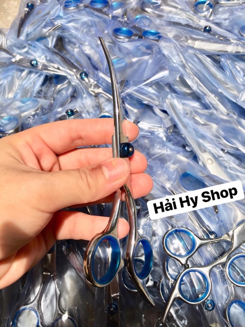 (Ảnh thật) KÉO CONG CẮT TỈA LÔNG CHÓ MÈO