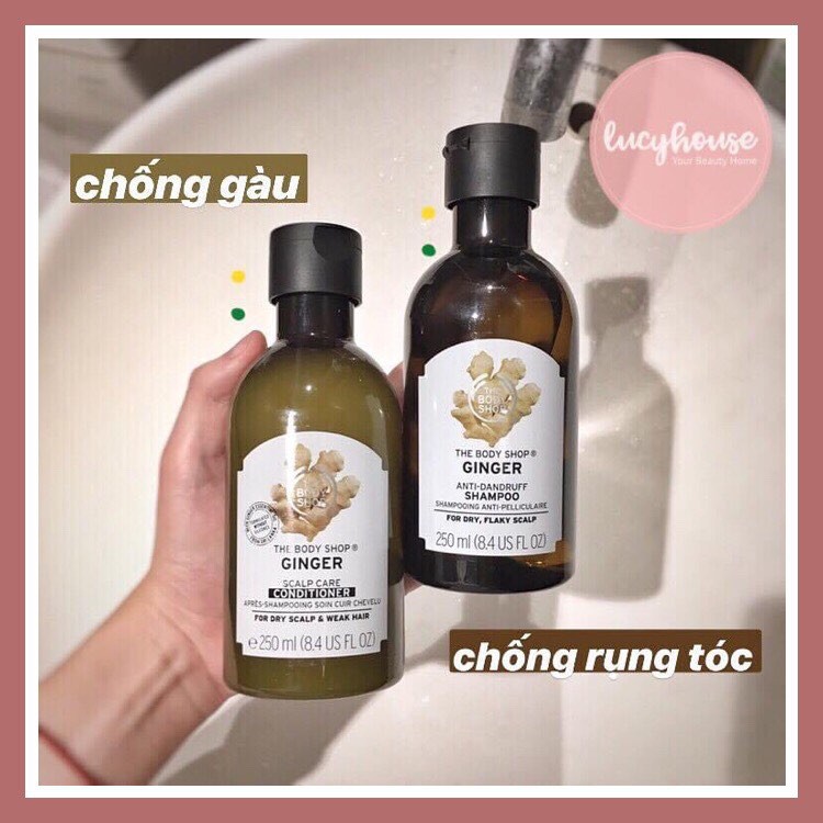 Dầu gội và dầu xả gừng Ginger The Body Shop