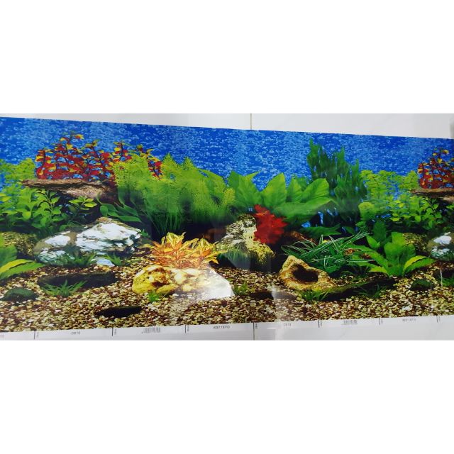 TRANH DÁN HỒ CÁ 2 MẶT CAO 30CM MẪU NGẪU NHIÊN