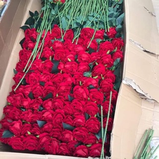 Combo hoa lụa ( hoa hồng, hoa trà, baby, bạch đàn)